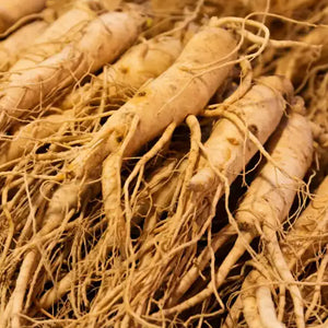 <p>Ginseng (con saponinas)