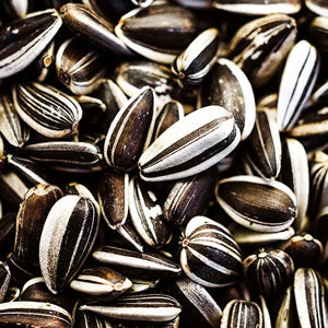 <p>Proteína de semillas de girasol germinadas
