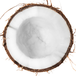 <p>Coco