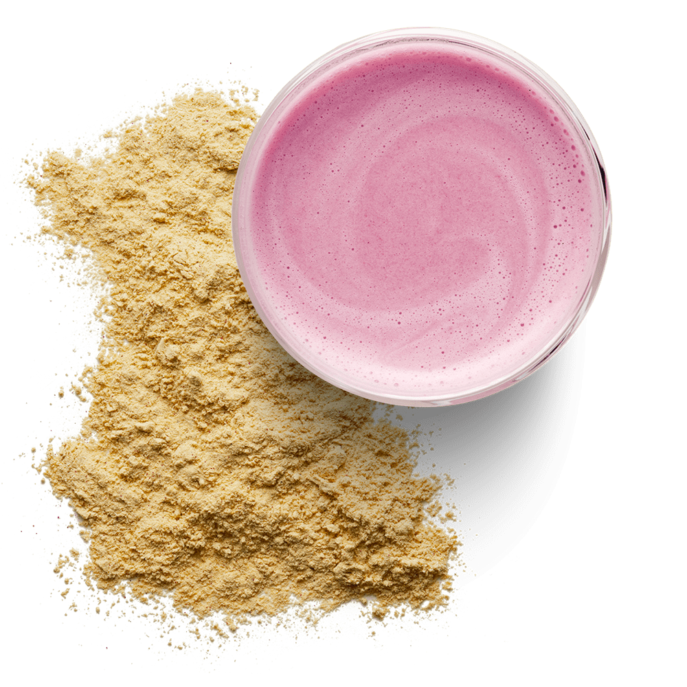 Vegan Protein – Sabor a frambuesa y yogurt