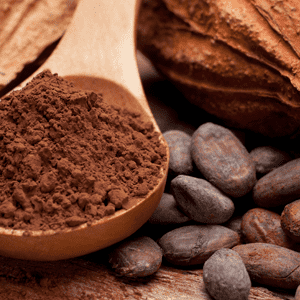 <p>Polvo de cacao bajo en grasas