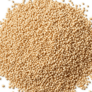 <p>Proteína de semillas de amaranto